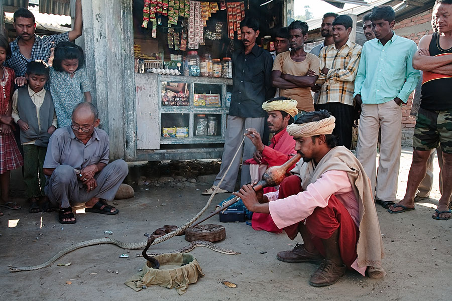  Snake charmers   Assam